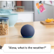 Amazon Echo Dot 5. Generation – Anthrazit