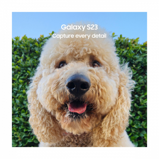 Samsung Galaxy S23 5G Smartphone (Dual-SIMs, 8+256GB) - Grün