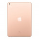 Renewed - Apple iPad 7th Generation (2019, 10.2-inch, Wi-Fi, 32GB) - Gold