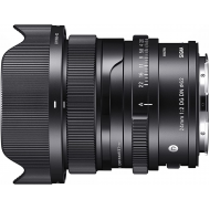 Sigma 24mm F2 DG DN Zeitgenössisches Objektiv (Sony E)